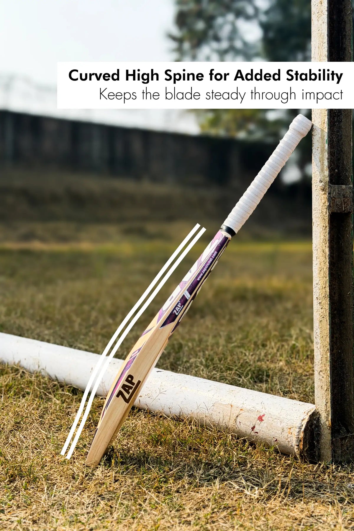 ZAP Besto Kashmir Willow Bat
